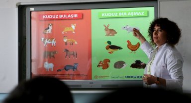 Kuduz tehlikesinden uzaklaştıracak altın kurallar