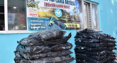 Manisa 30 bin zeytin toplama örtüsü dağıtıyor