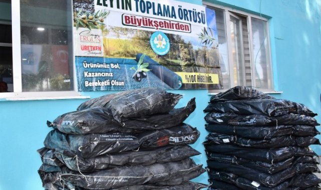 Manisa 30 bin zeytin toplama örtüsü dağıtıyor