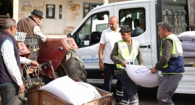 Milas'tan çiftçilere tohum desteği