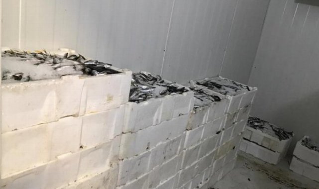 Bursa Balık Hali'nde sıkı denetim