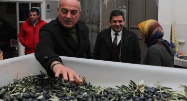 Bursa Gemlik'te zeytin çiftçisine yapılan destekleri anlattı