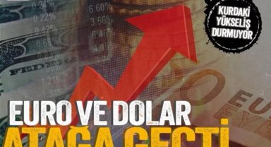 Dolar yükselecek mi? Türk lirası değerlenecek mi?