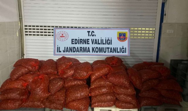 Enez'de kaçak kum midyesi yakalandı