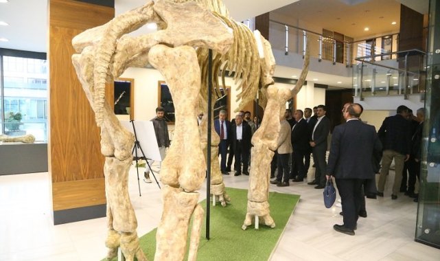 Kayseri Büyükşehir fosil faunasını canlandıracak