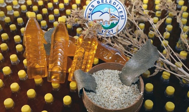 Kayseri Talas Belediyesi'nden aspir ekimi