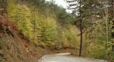 Küçükelmalı Tabiat'ta sonbahar