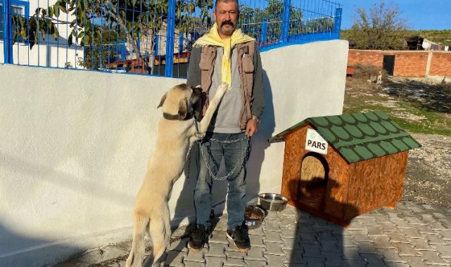 Manisa'da bir 'can dost' daha yuvasında