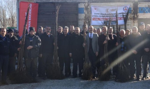 Bilecik Gölpazarı'nda hibeli ceviz fidanları dağıtıldı