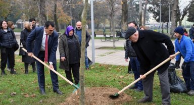 Bursa'da lodos yıktı Osmangazi Belediyesi yeşertiyor