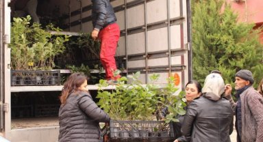 Çiftçilere aronya desteği