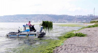 Dere, deniz ve kıyılardan 49 kamyon katı atık
