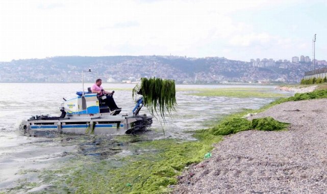 Dere, deniz ve kıyılardan 49 kamyon katı atık