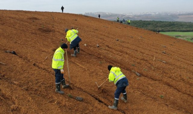 Dilovası'nda geleceğe 8 bin ağaçlık nefes