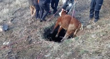 Kayseri itfaiyesinden buzağı operasyonu