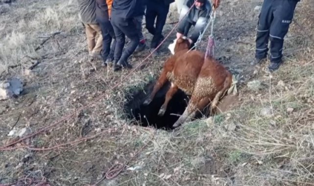 Kayseri itfaiyesinden buzağı operasyonu