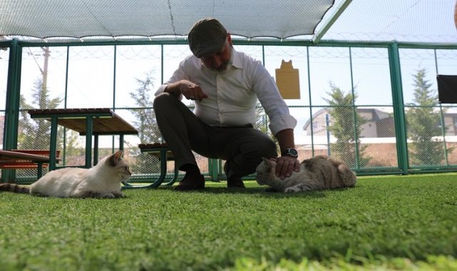 Kayseri'de Küçük Dostlar Kedi Kasabası'na ilgi akını