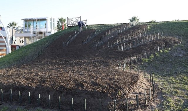 Kocaeli Büyükşehir'den kente estetik dokunuşlar