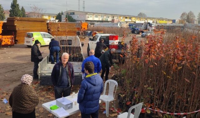 Kocaeli'nin yüzde 50 hibeli meyve fidanları dağıtılıyor