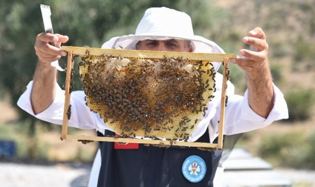 Manisa'dan arıcılara 'kovan' desteği