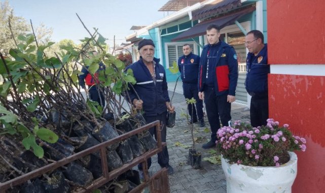 Manisa'nın 17 ilçesine 120 bine yakın meyve fidanı dağıtıldı