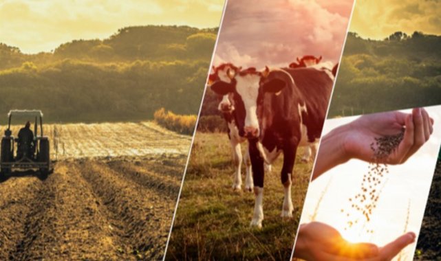 2023'te 63,4 milyar TL'lik tarımsal destek