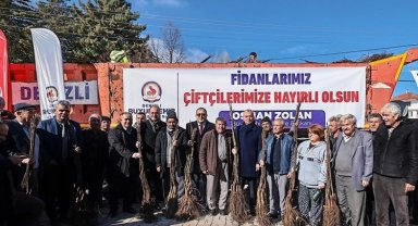 Cevizin merkezi Denizli olacak