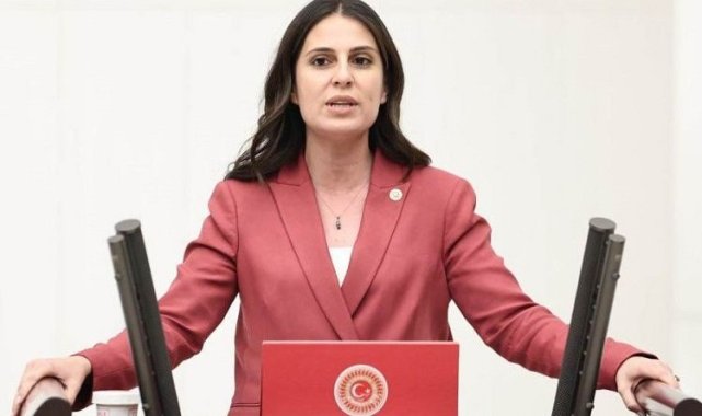 CHP Muğla Milletvekili Özcan: "Bu yatırım programı haksızlık sertifikasıdır"