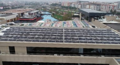 GES binlerce ağacı kurtarıyor