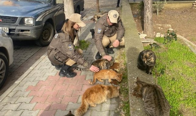 Keşan'da polis ekipleri sokak hayvanlarını besledi