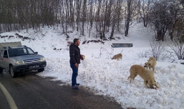 Pazaryeri'nde -10'da can dostlarına belediye şefkati