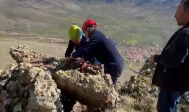 Kayseri Büyükşehir uçurumdaki küçükbaşı kurtardı