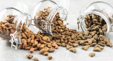 Kedi köpek maması ihracatı 27 katına çıktı