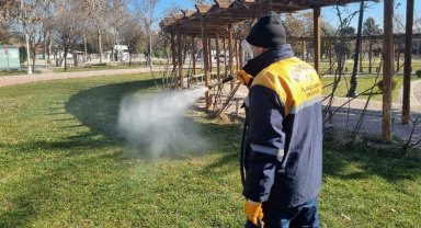 Malatya'da ilaçlama çalışmalarına hız verildi