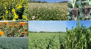 Bursa'nın 7 tarım projesine 3,7 milyon TL'lik bakanlık hibesi