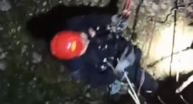 Kayseri'de 15 metrelik kuyuya düşen inek 3 saatte kurtarıldı