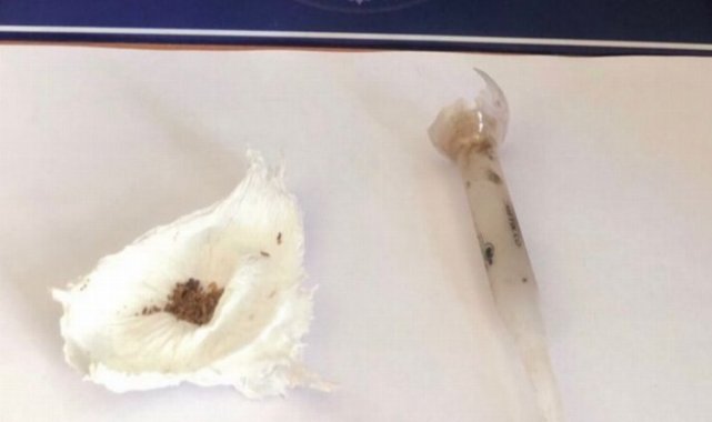 Keşan'da 3 günde uyuşturucudan 8 gözaltı!