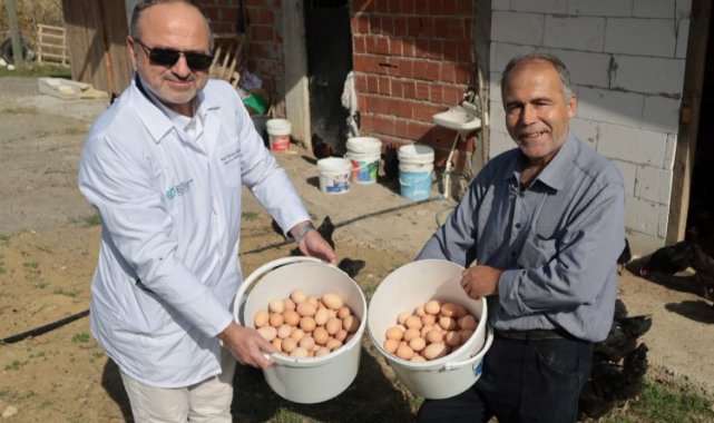 Kocaeli'de çiftçinin yüzü gülüyor