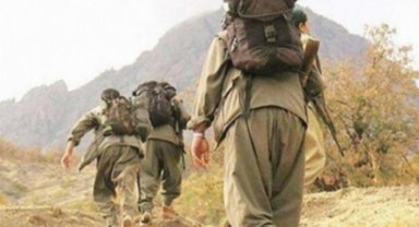 1 terörist Habur'da teslim oldu!