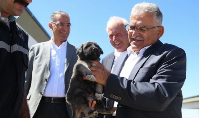 Başkan Büyükkılıç, dilsiz dostlara sahip çıkıyor
