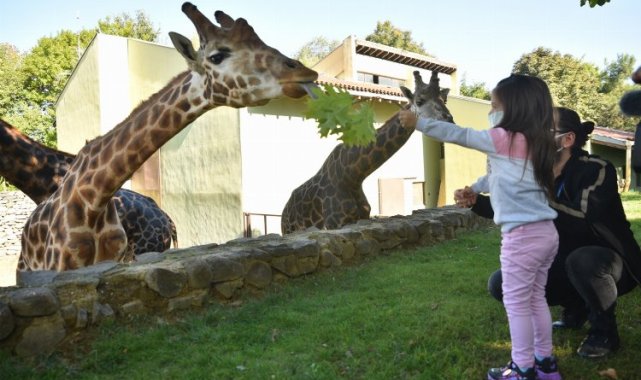 Bursa Büyükşehir'den 'hayvanat bahçesi' açıklaması