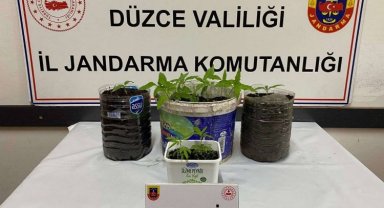 Düzce Jandarması'ndan uyuşturucu operasyonu