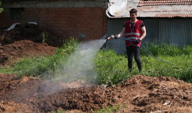 Düzce'de ilaçlama çalışmaları yeniden başladı