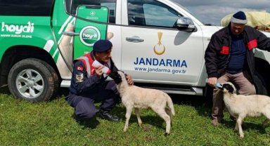 Edirne Jandarması'ndan hayvan sağlığı bilgilendirmesi