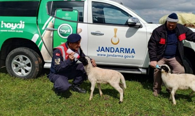 Edirne Jandarması'ndan hayvan sağlığı bilgilendirmesi