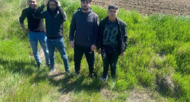 Edirne'de 4 göçmen yakalandı