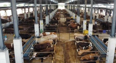 İnegöl Hayvan Pazarı 27 Mayıs'ta kapılarını açıyor