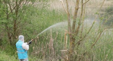 İzmit Belediyesi halk sağlığı için ilaçlama çalışmalarını sürdürüyor