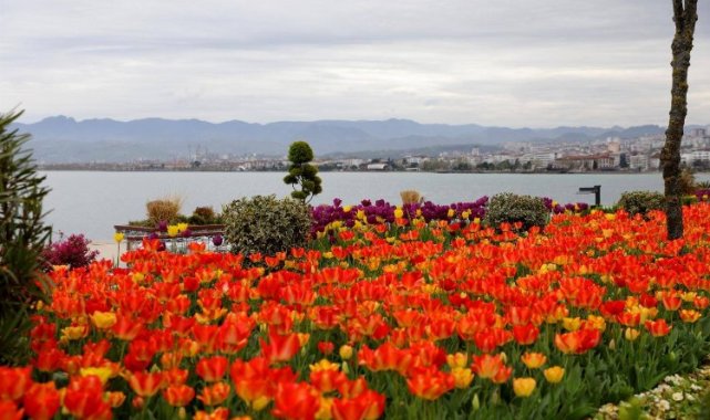 Karadeniz'in incisi Ordu