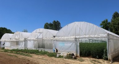 Kocaeli'den yüzde 50 hibeli modern sera desteği